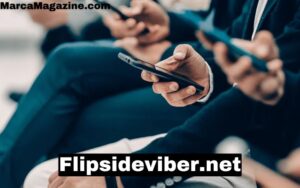 Flipsideviber.net