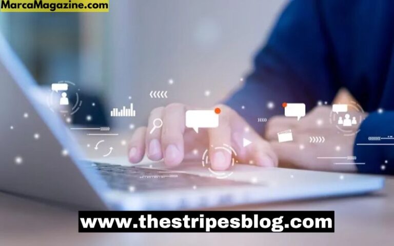 www.thestripesblog.com: A Hub for Lifestyle, Culture, and Current Trends